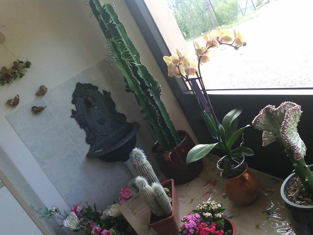 托尔吉亚诺Il Cerchio Delle Fate别墅 外观 照片